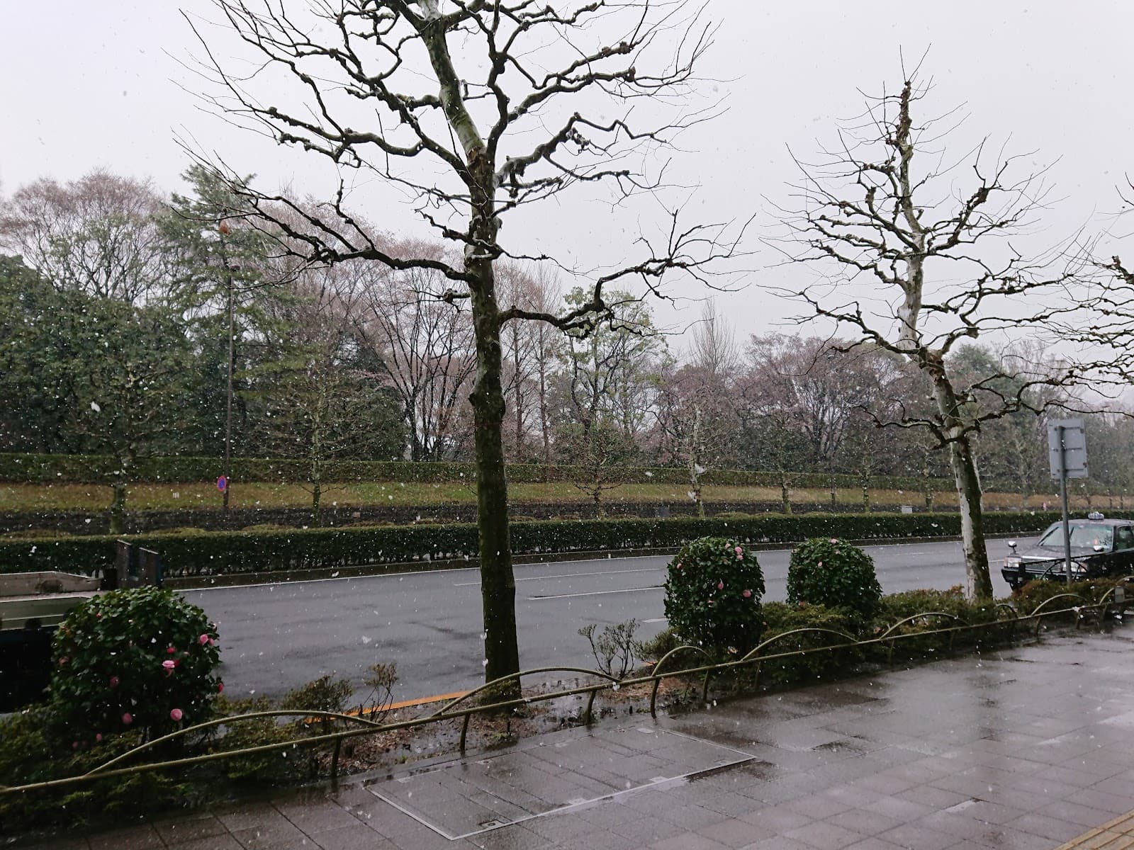 Kita-Aoyama Tokyo - Image 1