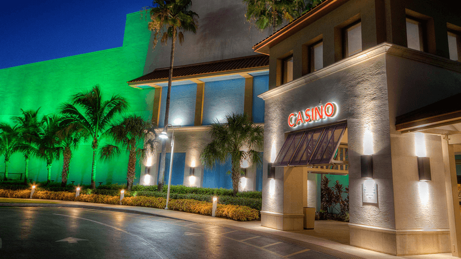 Live Music and Entertainment