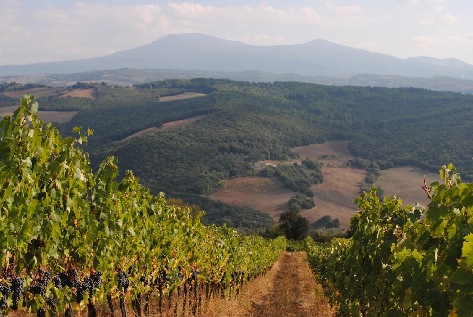 Val d'Orcia - Image 1