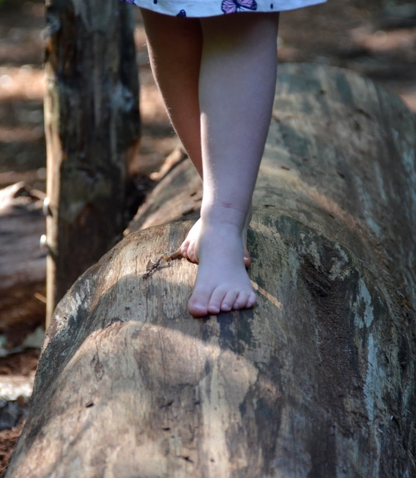 Lieteberg Barefoot Path - Image 1