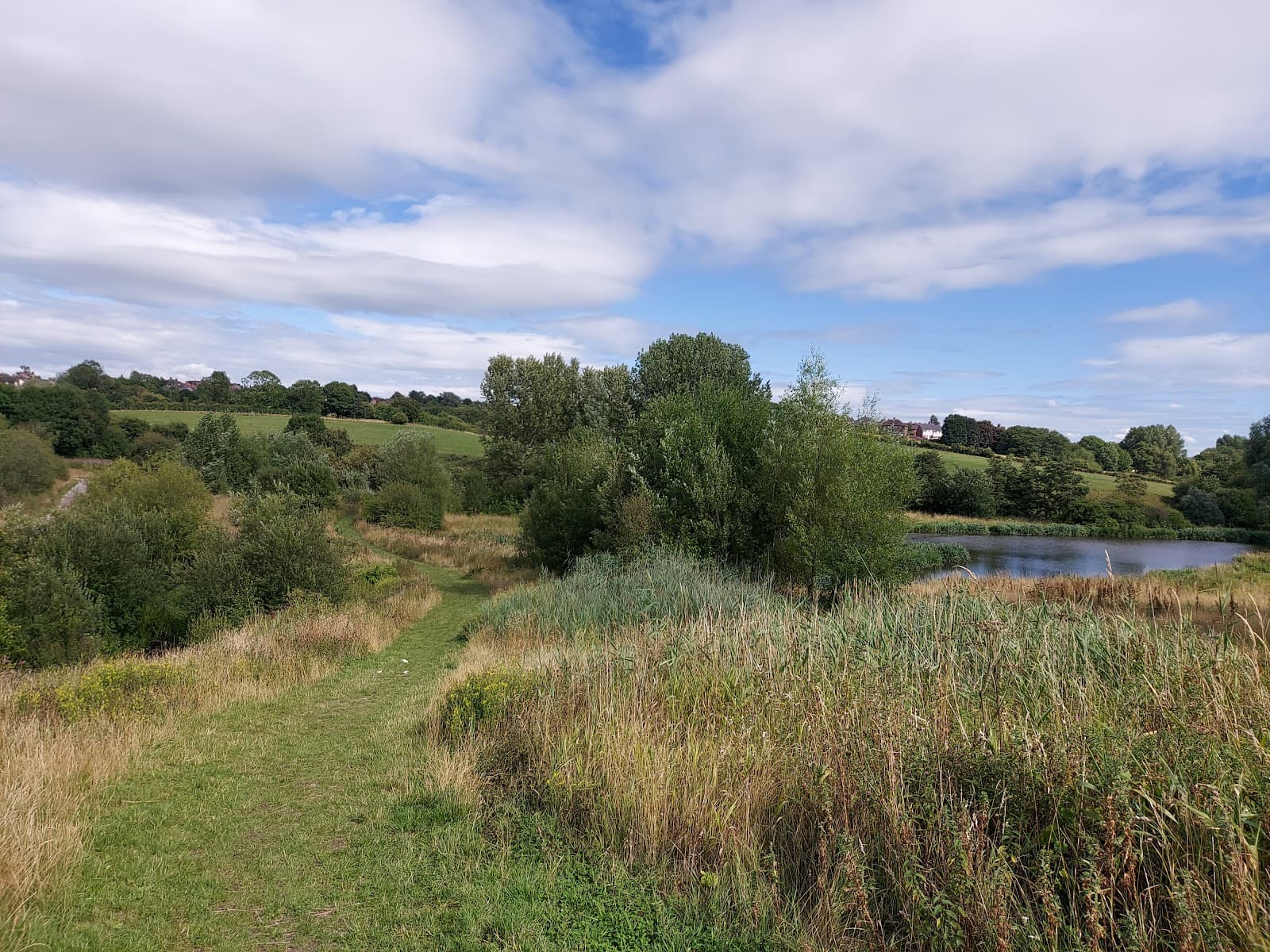 Whitfield Valley Nature Reserve - Image 1