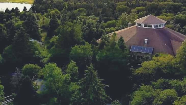 Local Flora and Fauna