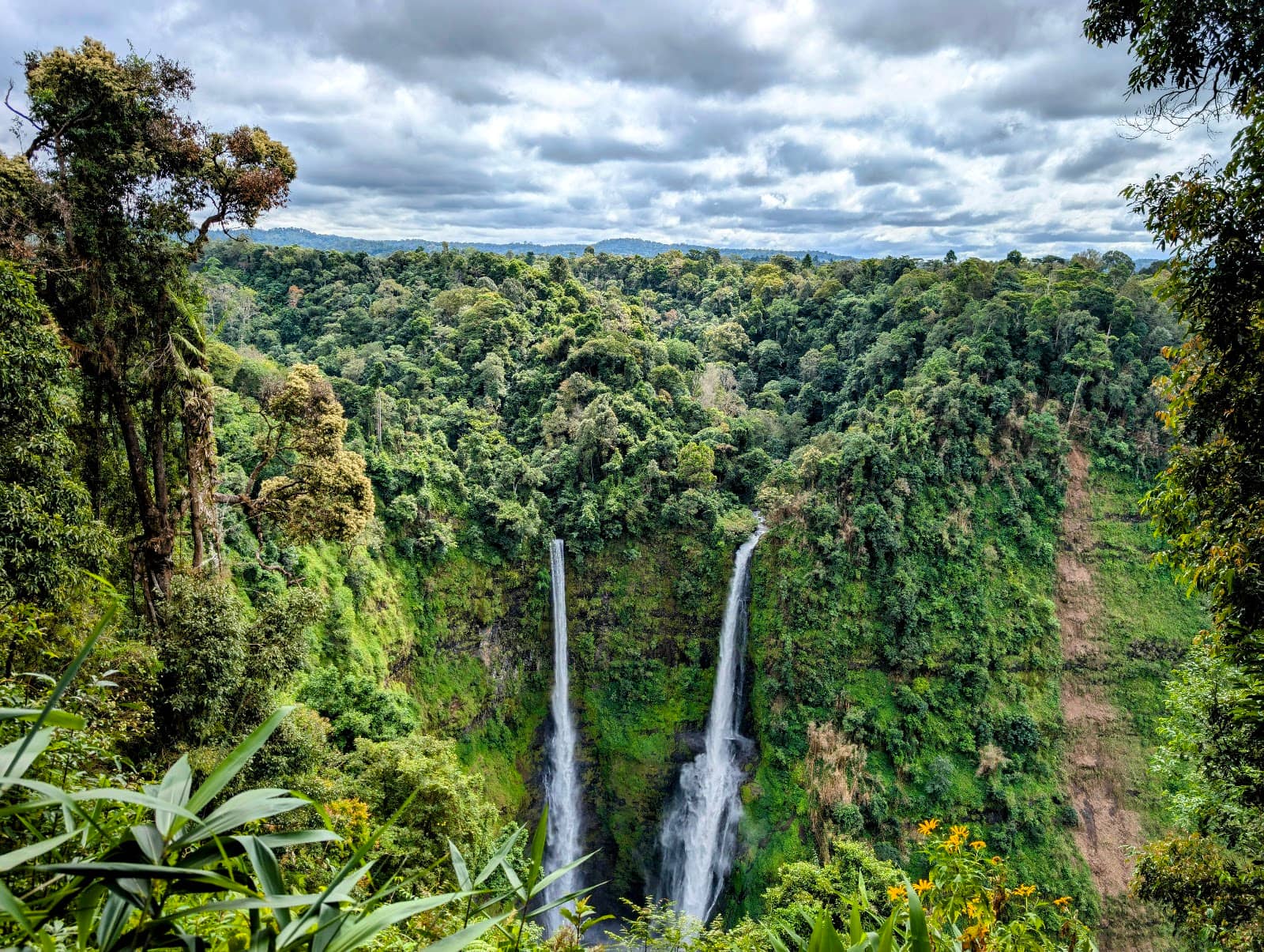 Nature Trails & Wildlife