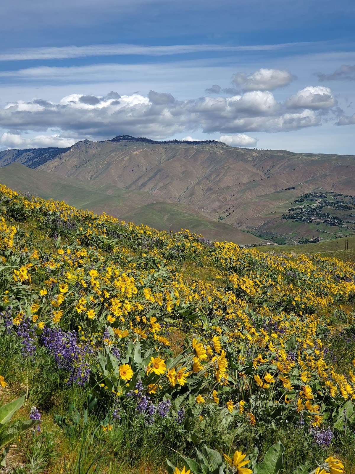 Horse Lake Reserve - Image 1
