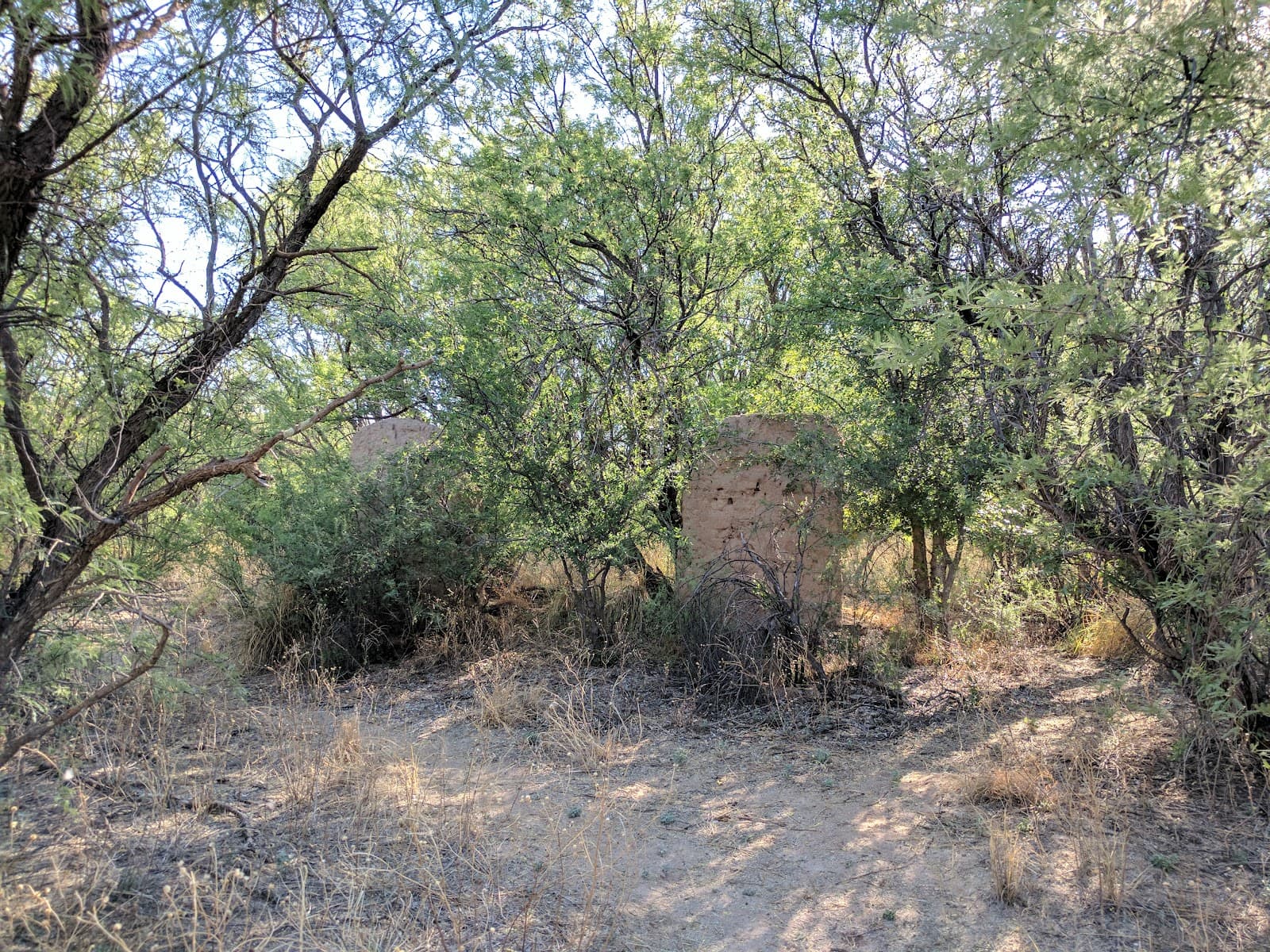 Charleston Ghost Town Ruins - Image 1