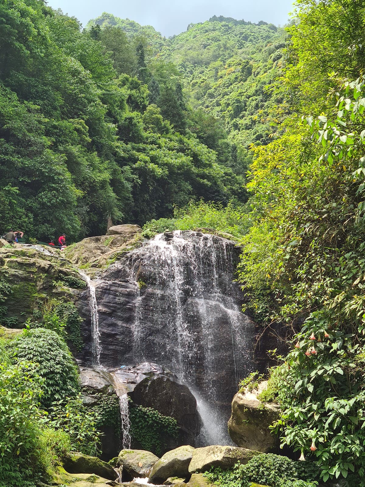 Barbotey Rock Garden - Image 1