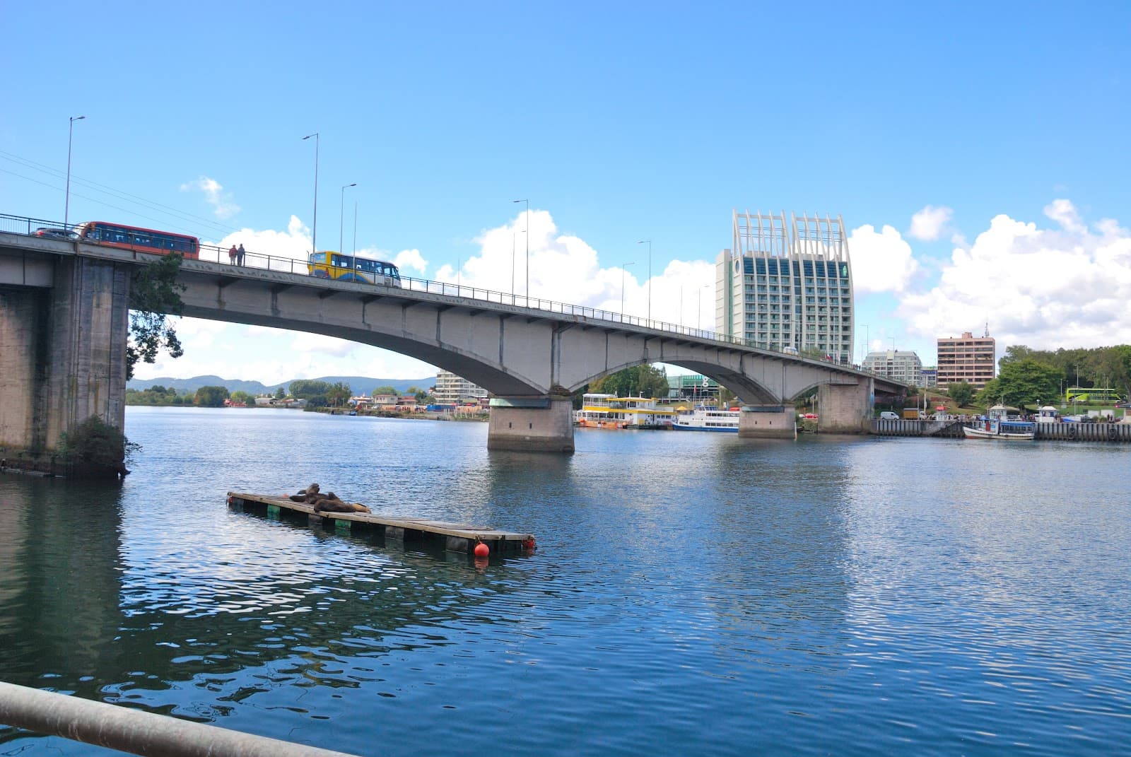 Puente Pedro de Valdivia - Image 1