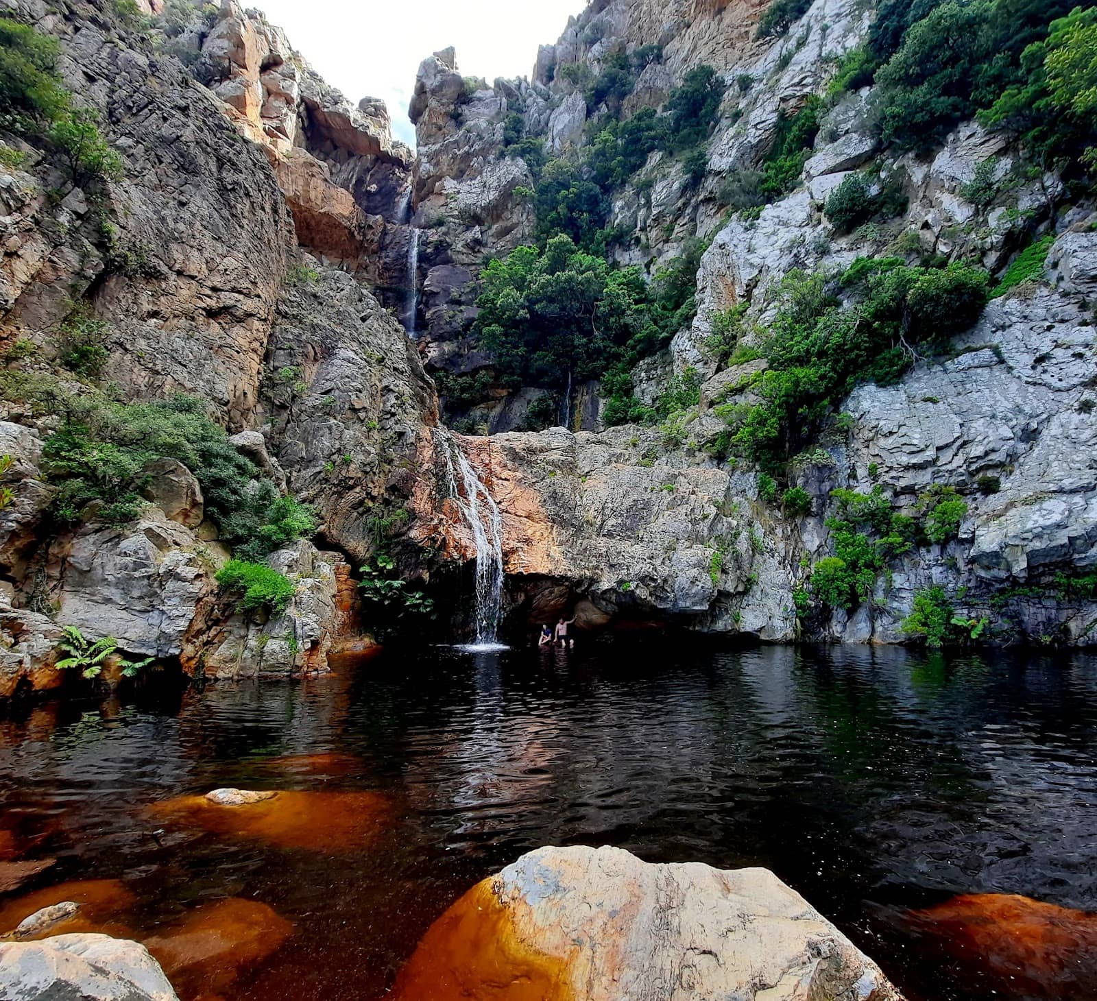 Scenic Fynbos Trail