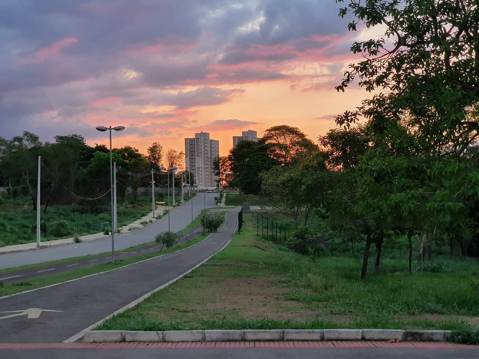 Sustainability in Action