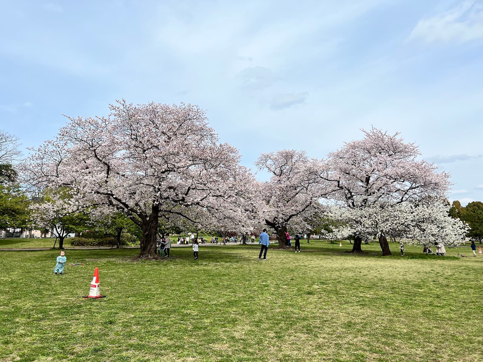 Shinozaki Park - Image 1