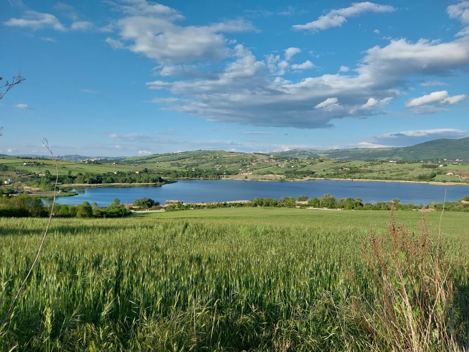 Oasi WWF Lago Pantano di Pignola - Image 1