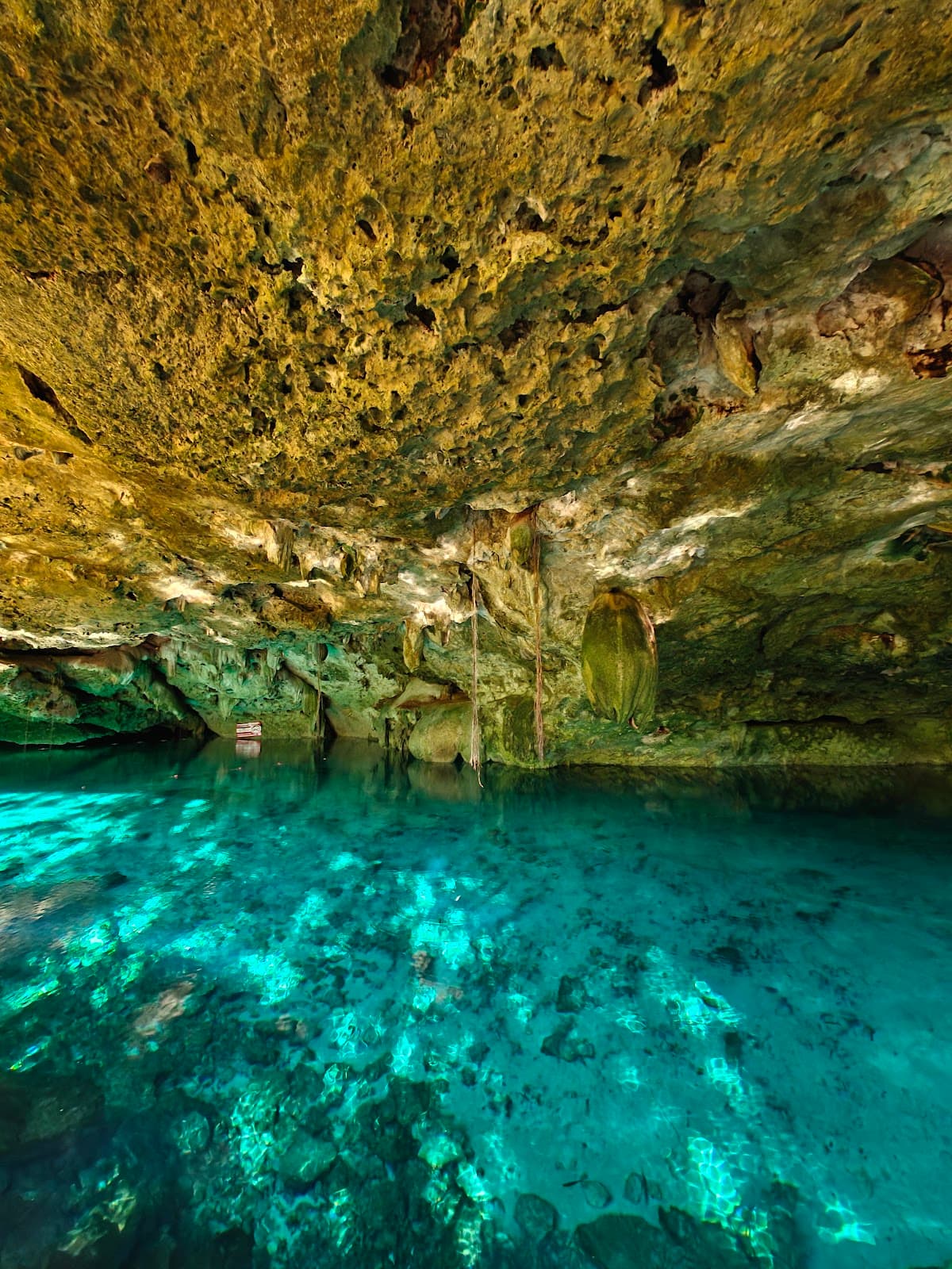 Cenote Dos Ojos - Image 1