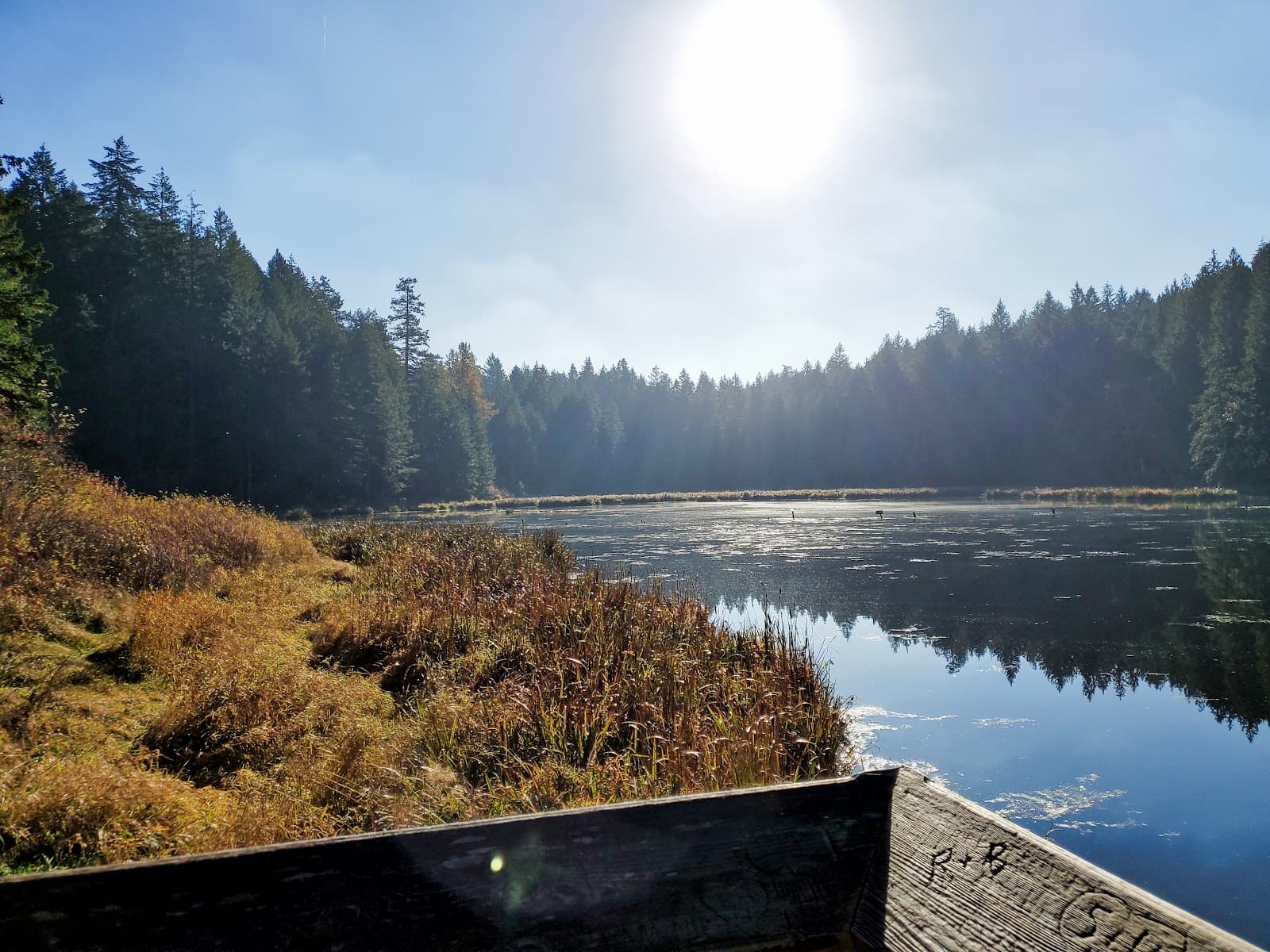 Hemer Provincial Park British Columbia - Image 1