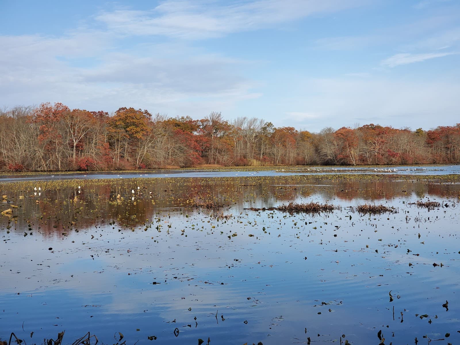 Mill Pond Park - Image 1