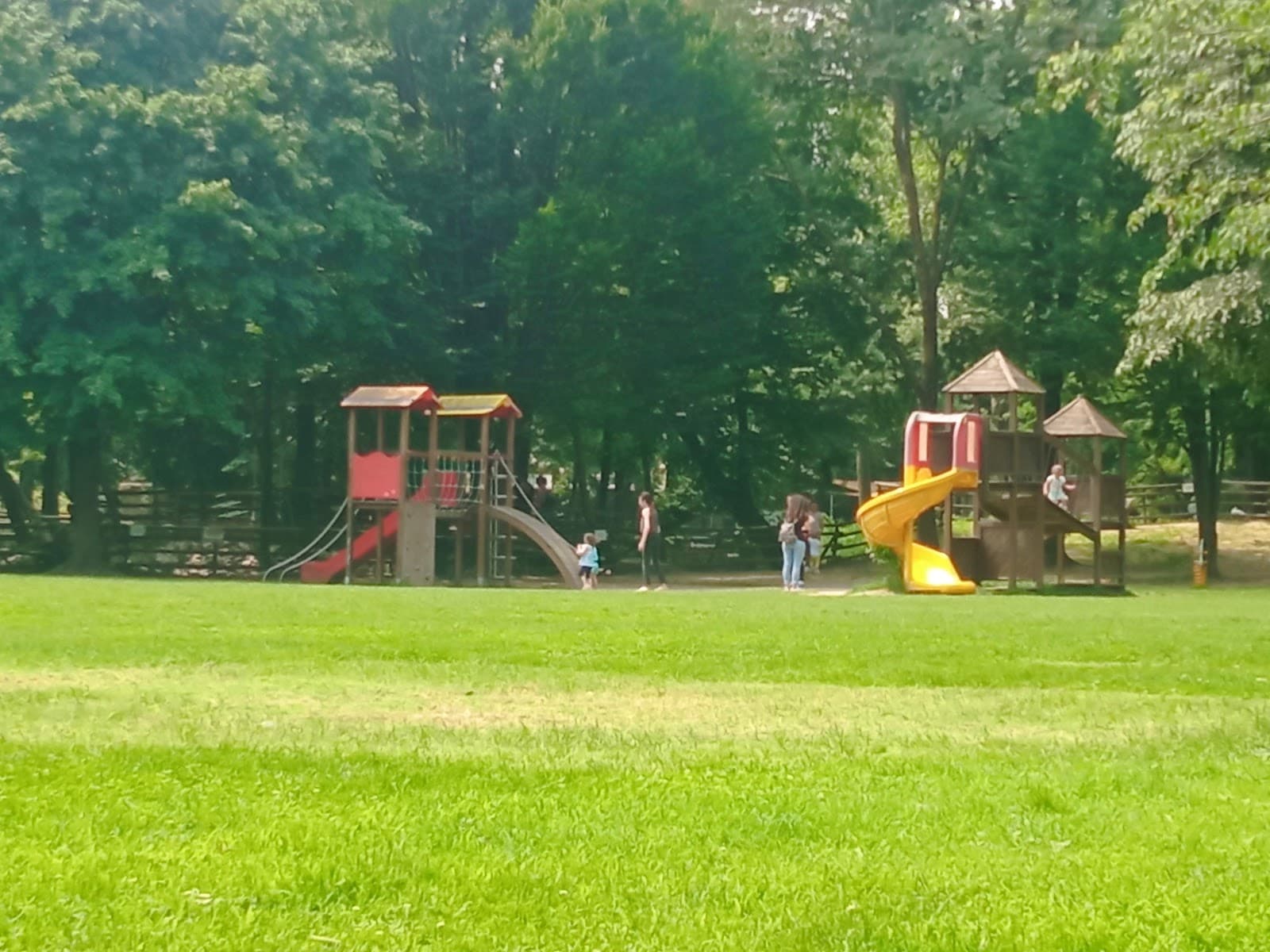 Parco Buzzaccarini (Boschetto dei Frati) - Image 1