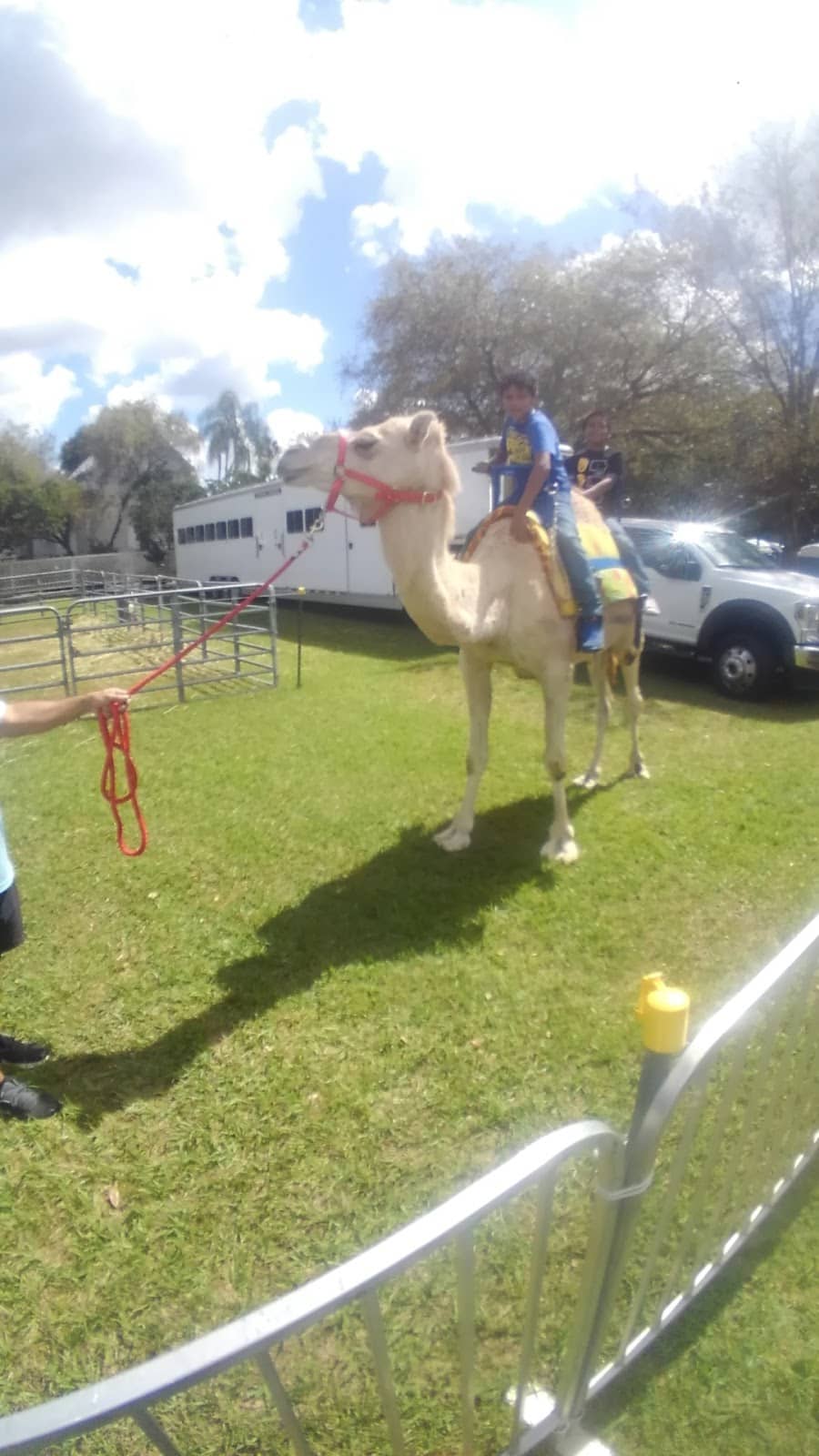 The Allure of 'La Belle' for Her