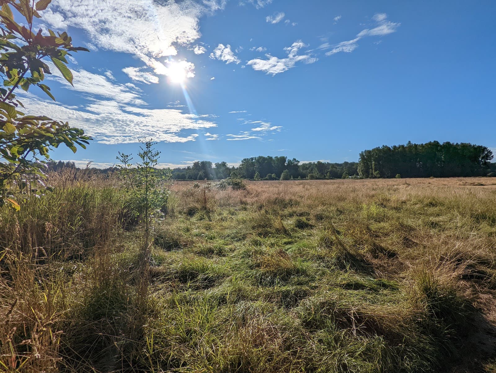 Strawberry Fields Athletic Complex - Image 1