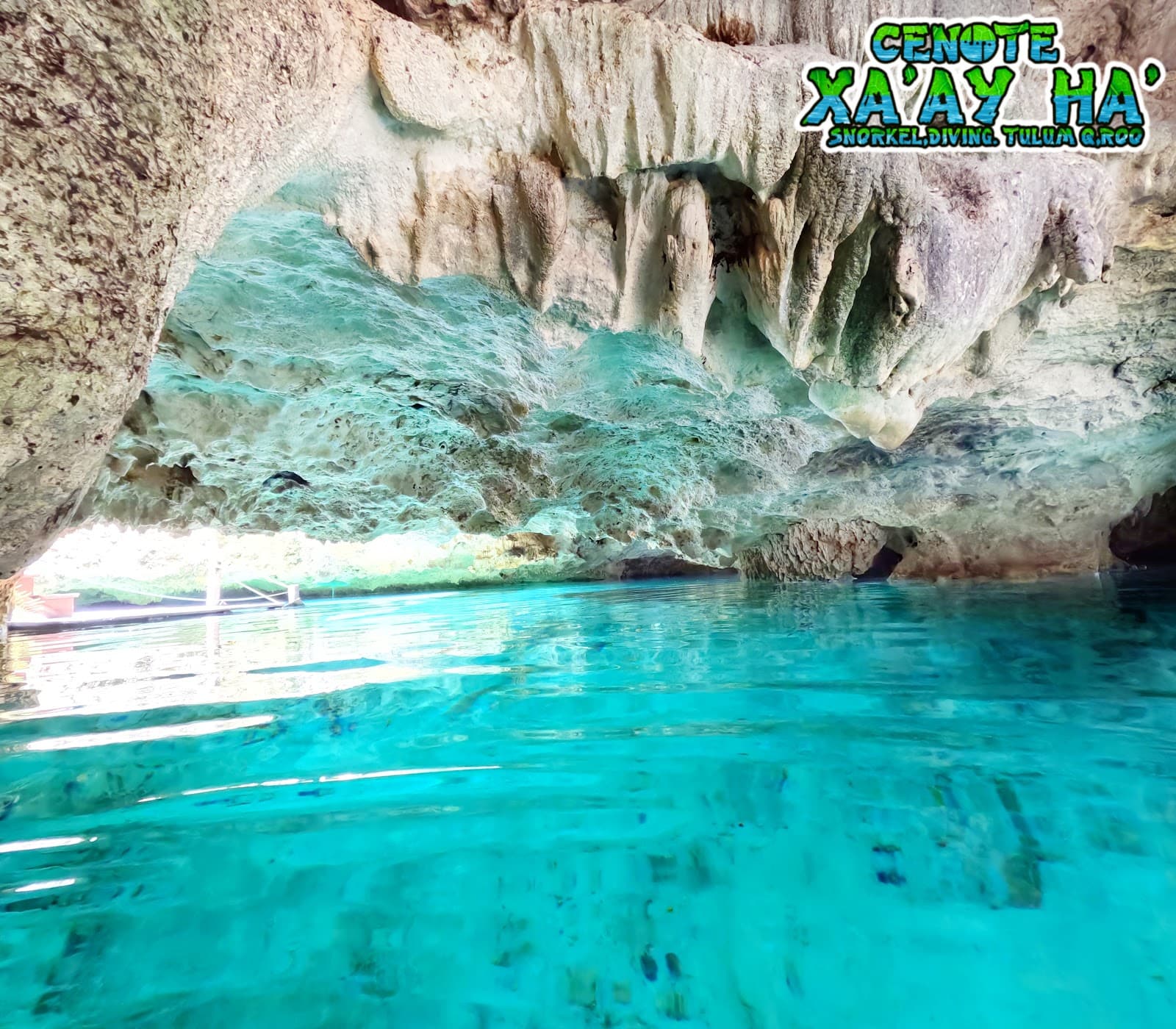 Cenote Xul-Ha, Tulum - Image 1