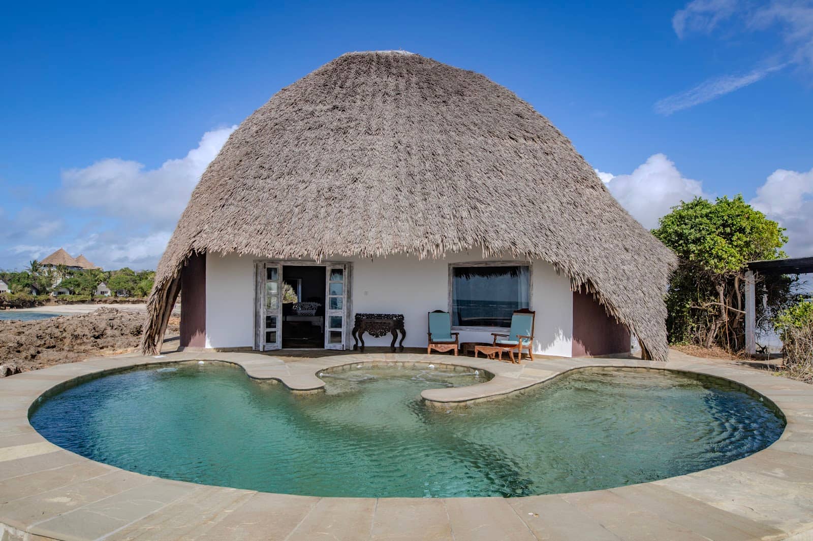 Lush Tropical Forests