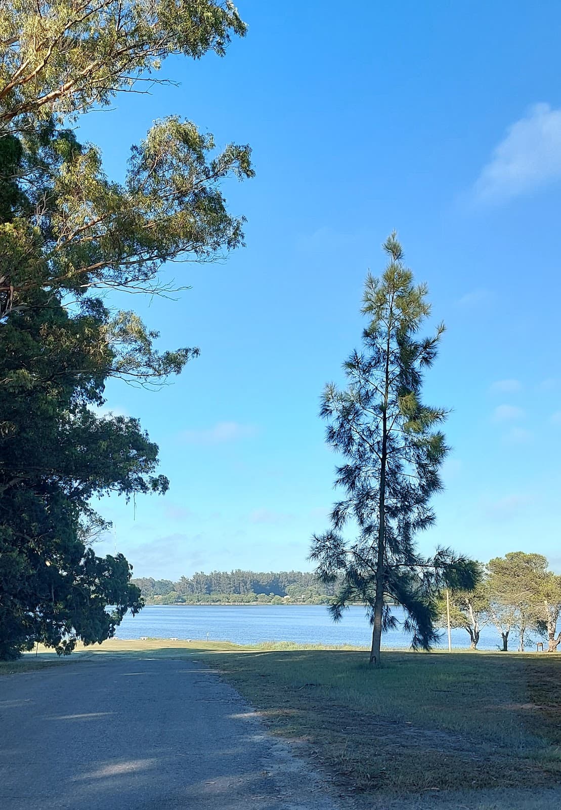 Laguna de los Padres - Image 1