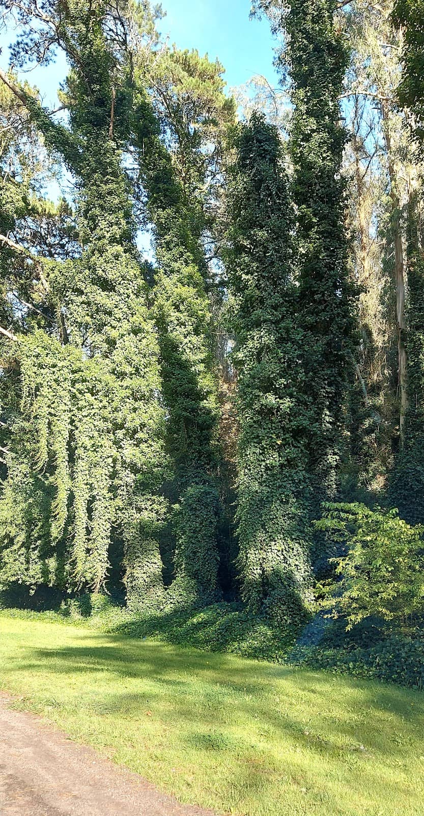 Vertical photo