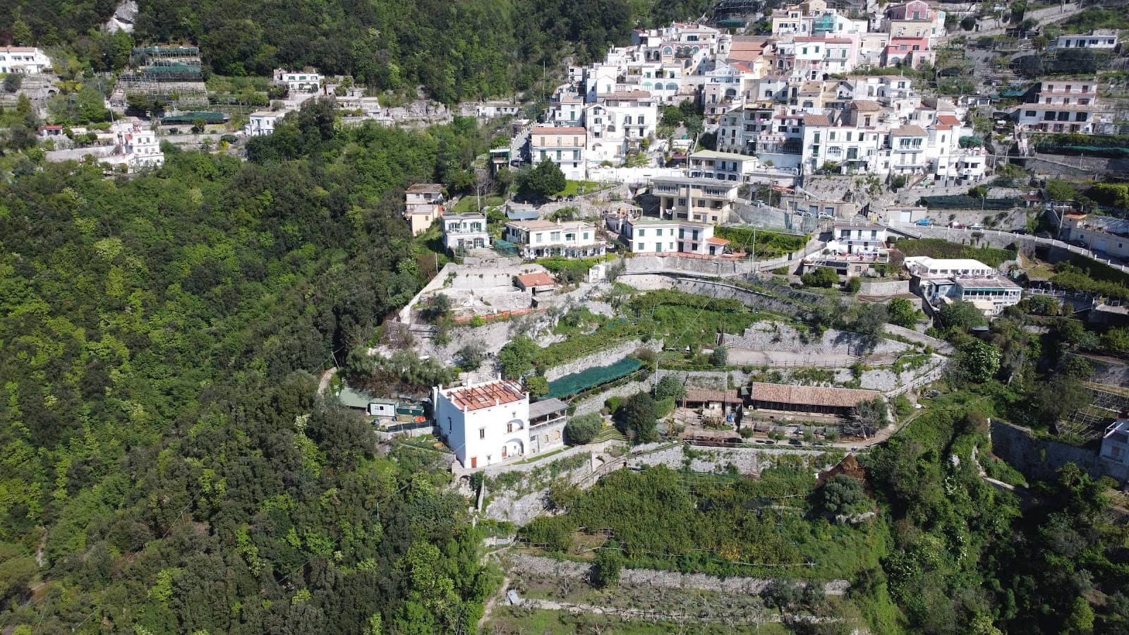 Local Ceramics Shops