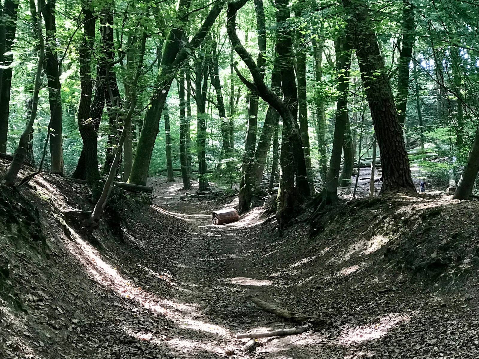 Challenging Hiking Trails