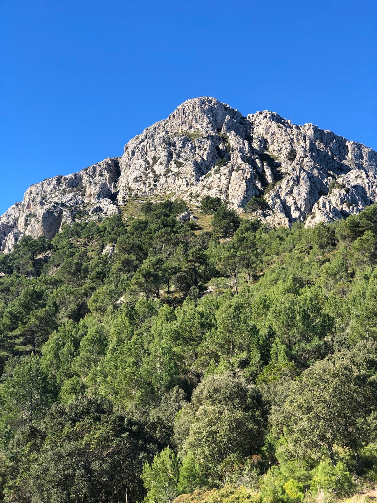 Puig de Galatzó Mallorca - Image 1