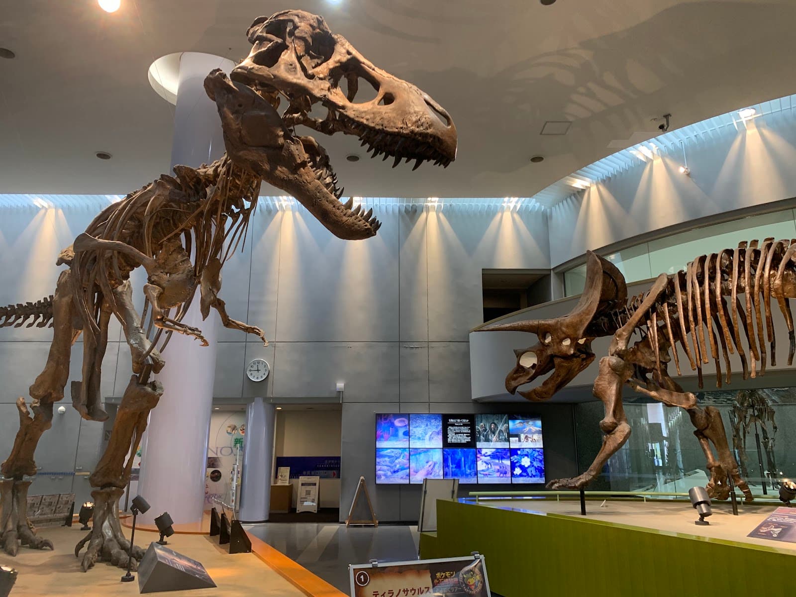 Toyohashi Museum of Natural History - Image 1