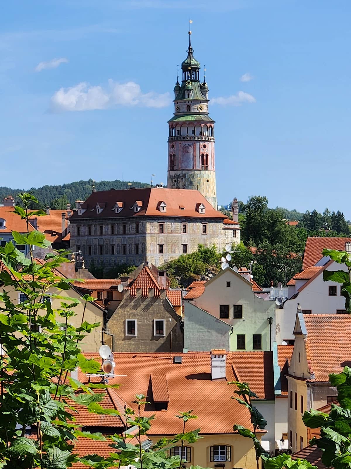 Hidden Riverside Paths