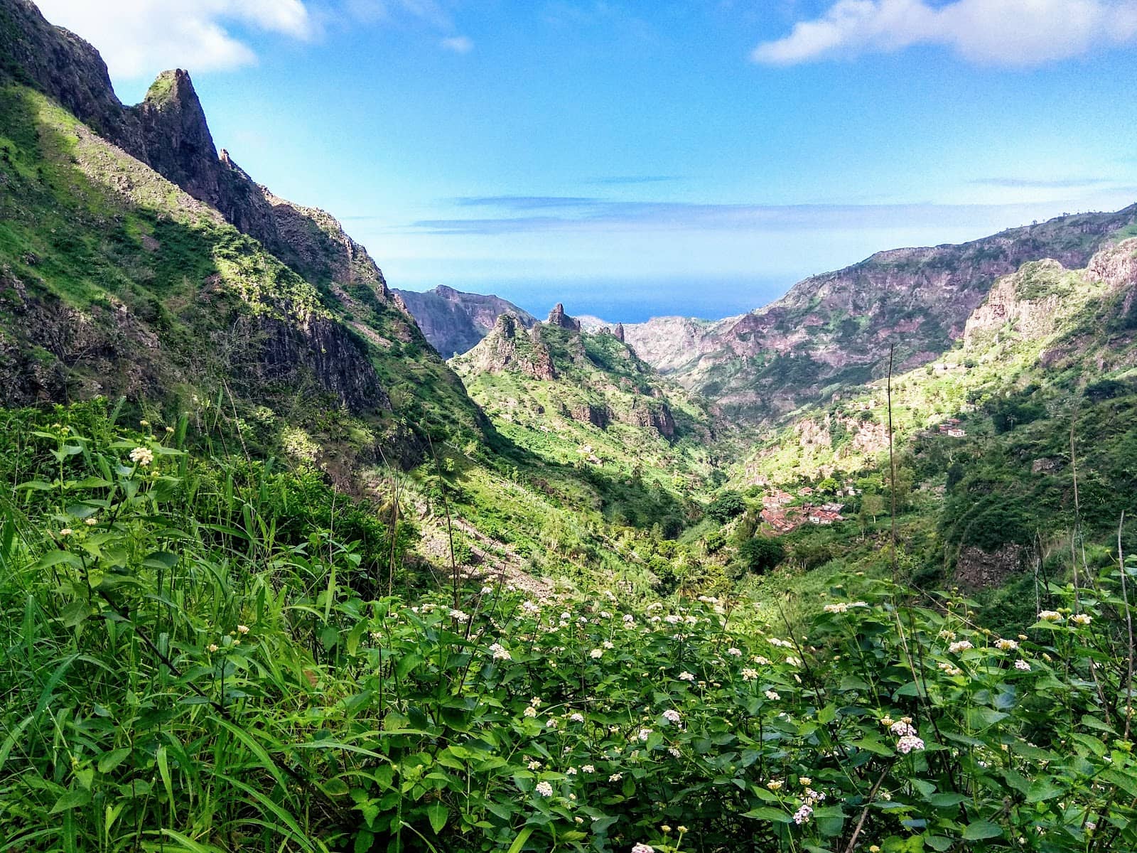 Unique Flora and Fauna