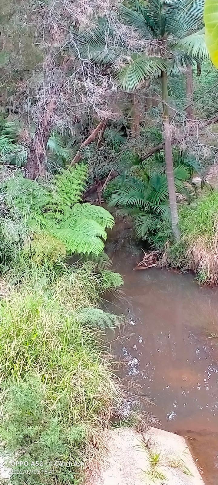 Alexandra Hills - Image 1