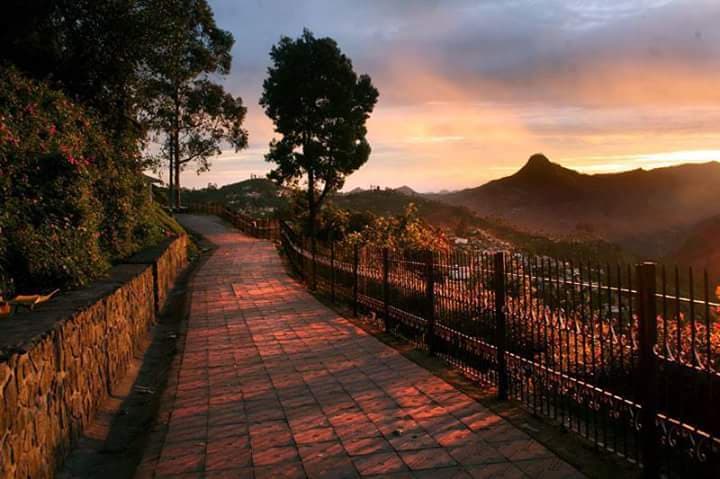 Coaker's Walk Kodaikanal - Image 1