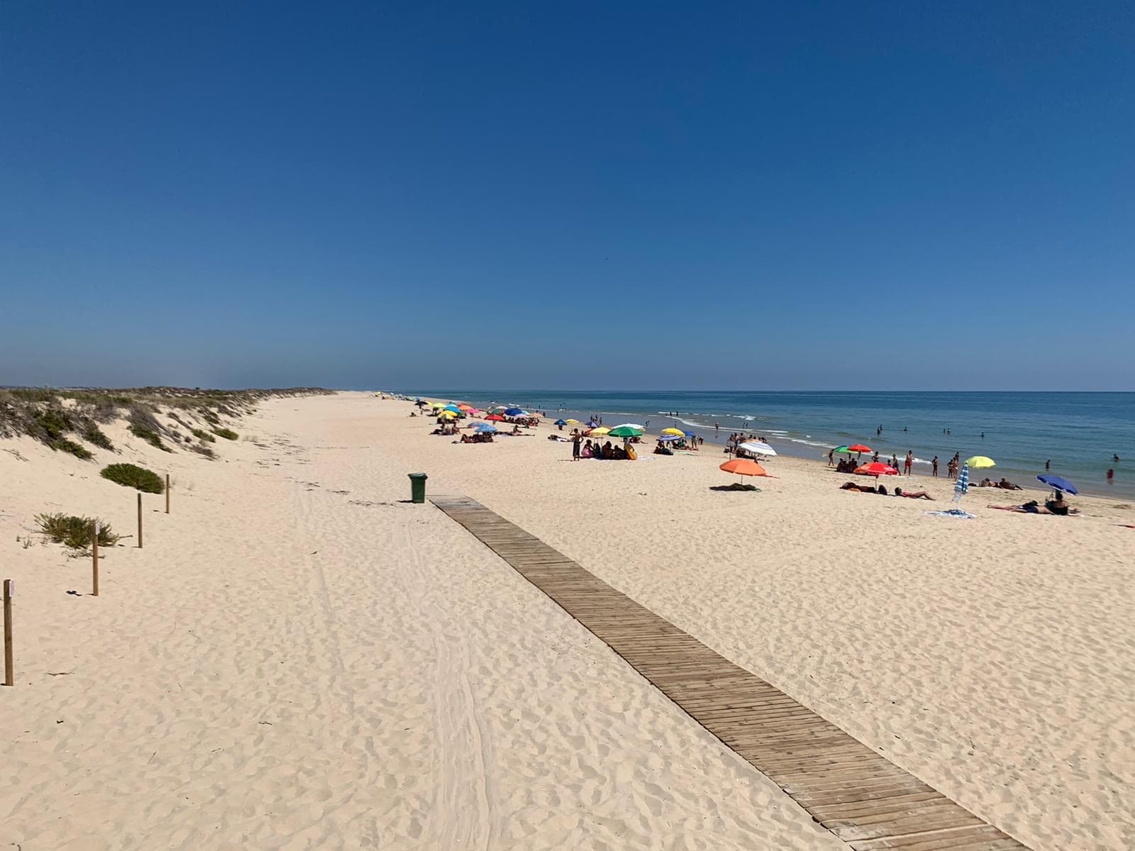 Ilha da Culatra - Image 1