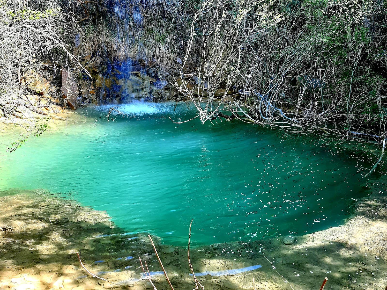 Dragonja River Estuary - Image 1