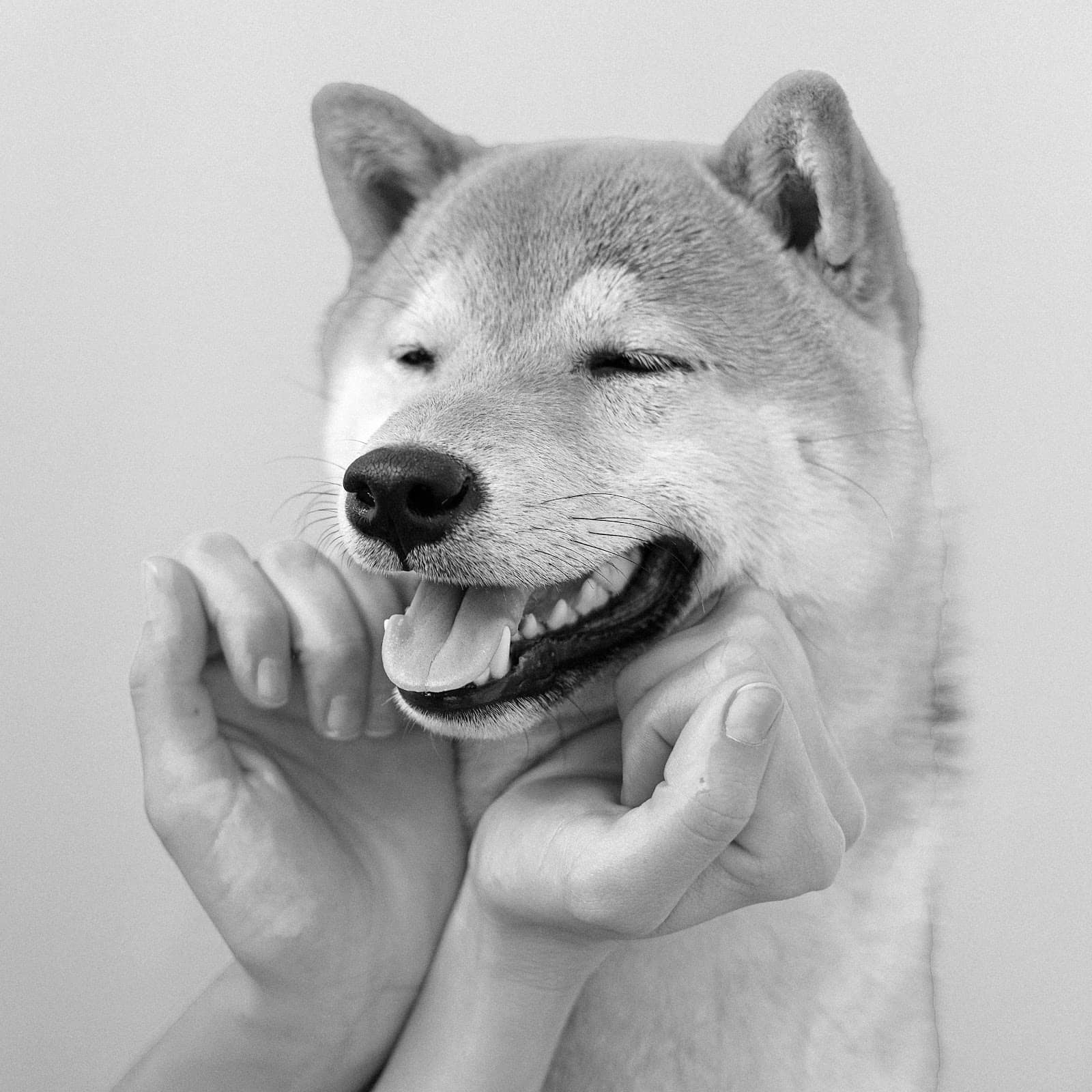 Unforgettable Paris Experience