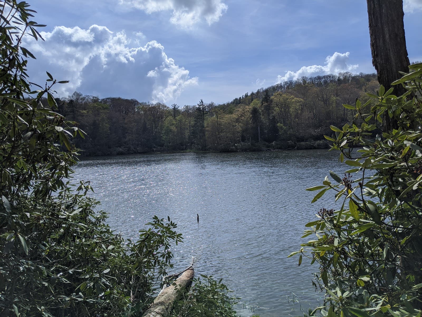 Trout Lake - Image 1