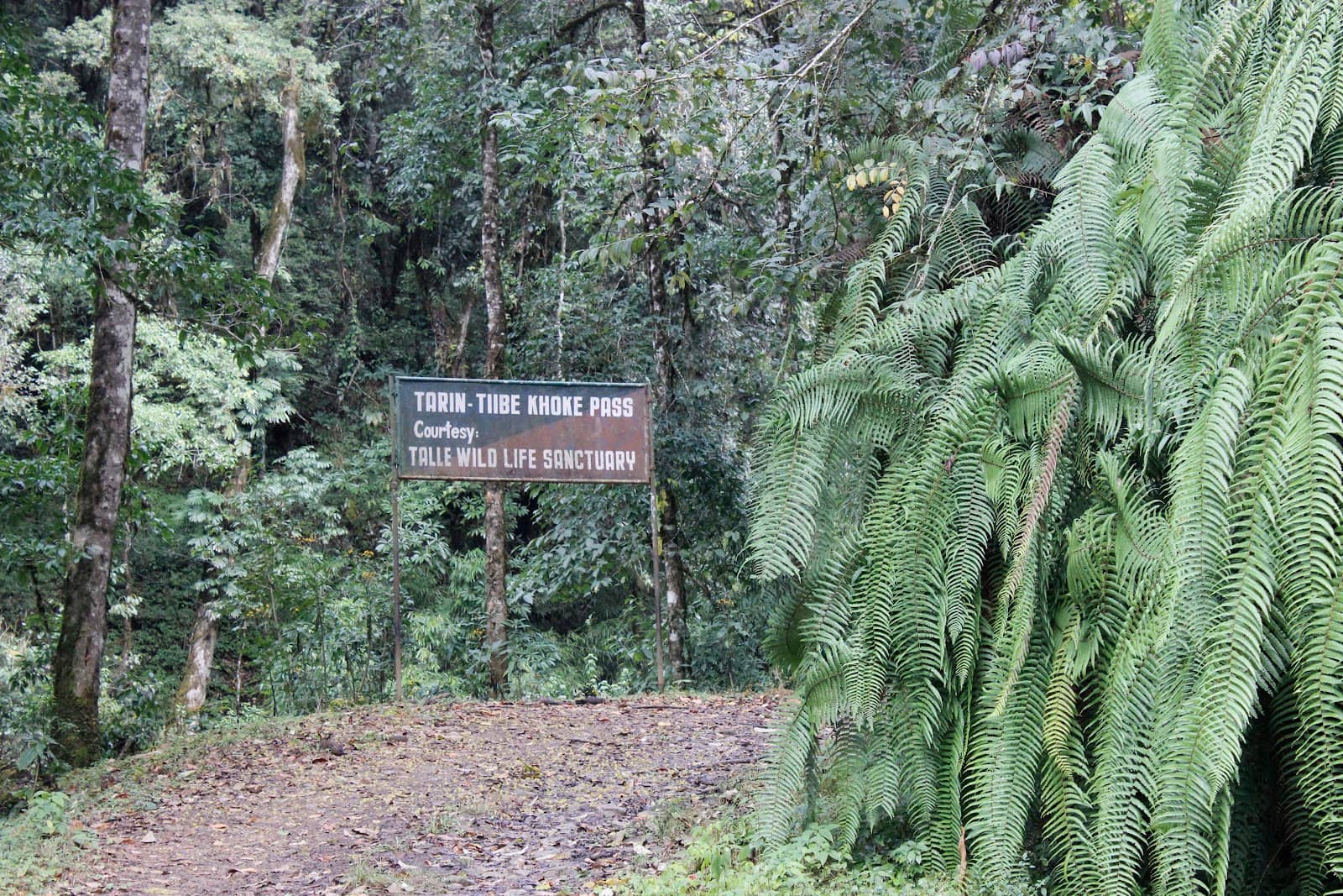 Biodiversity Hotspot