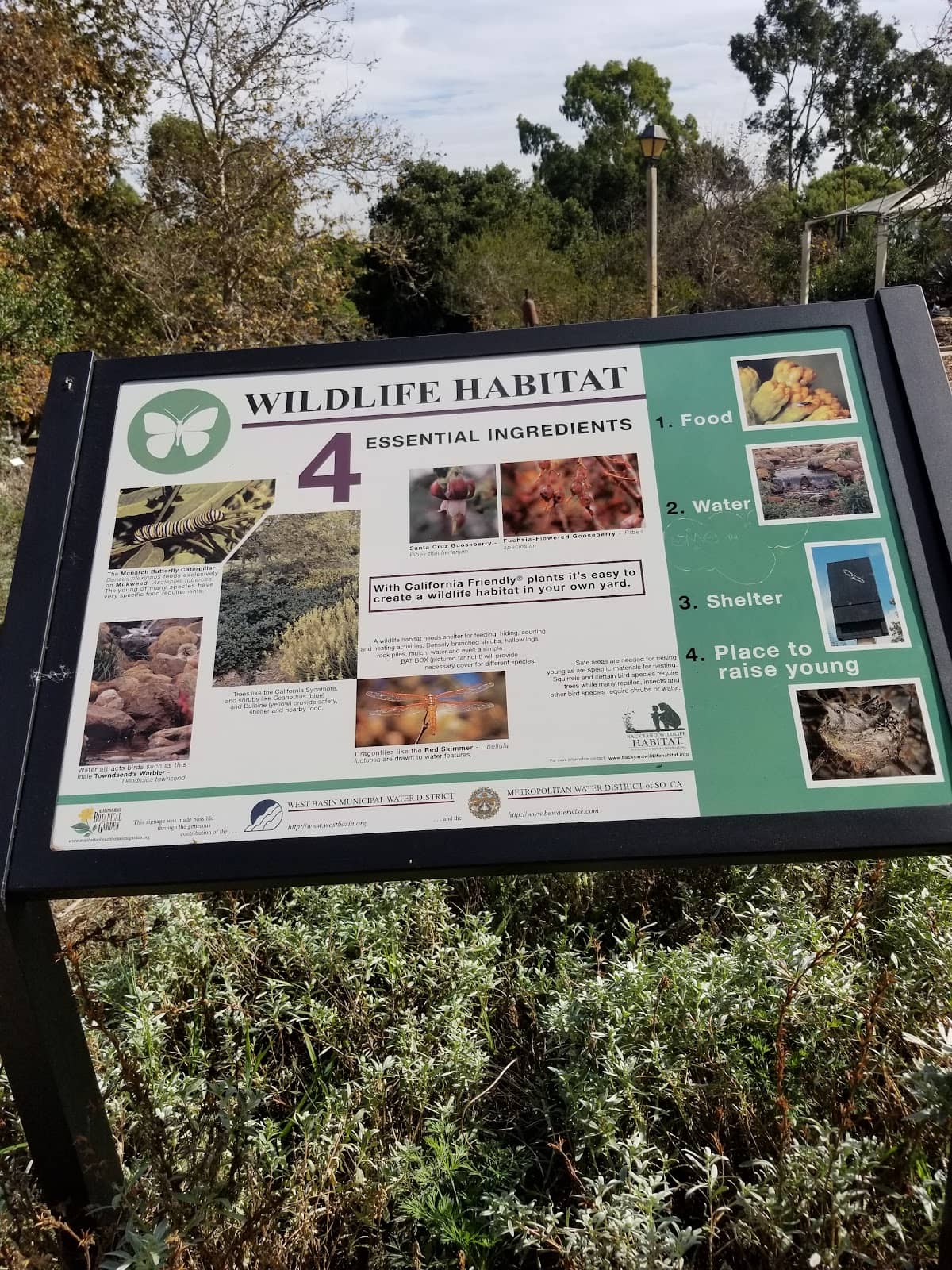 Meditation Garden & Waterfall