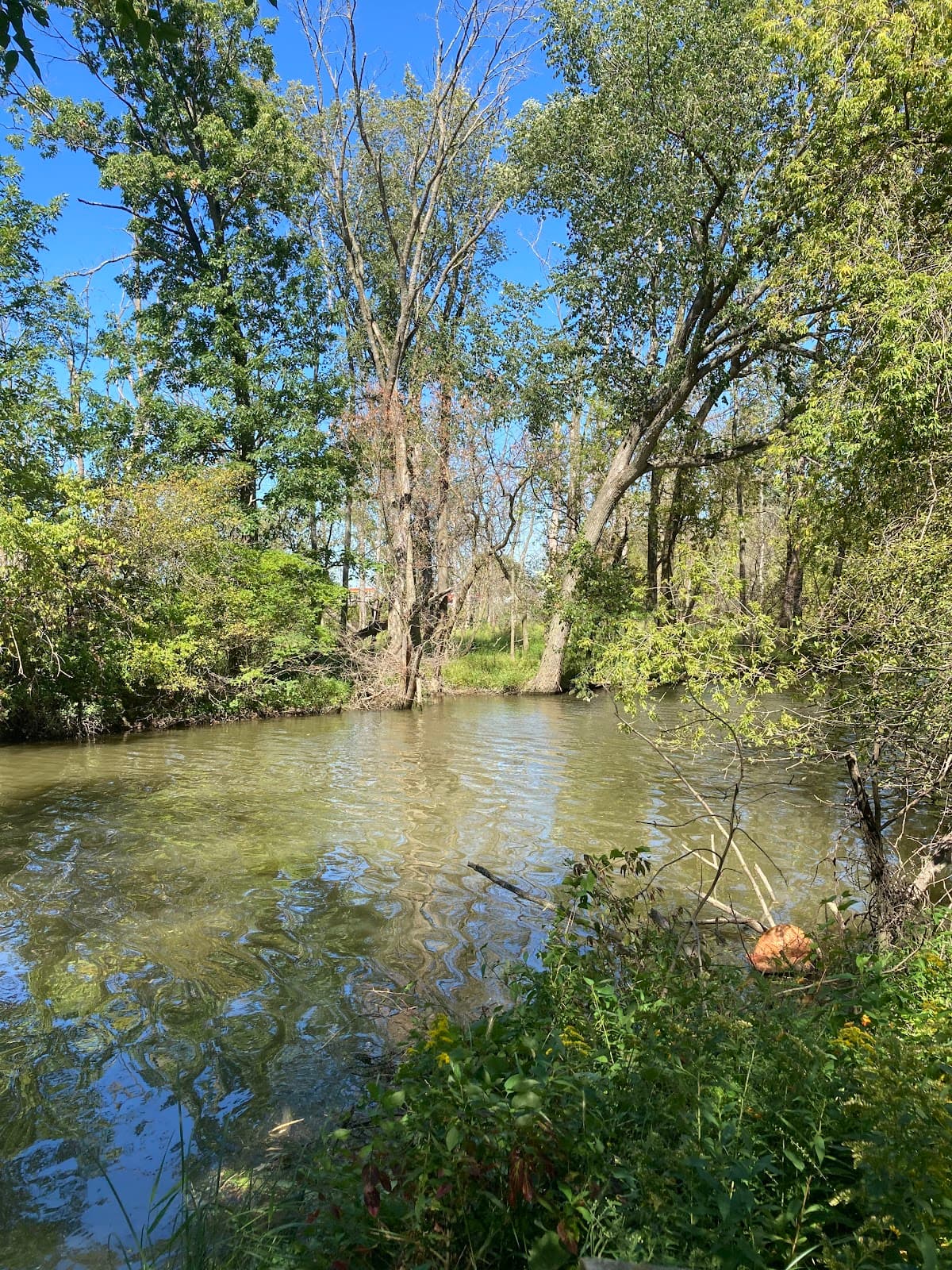 Paw Paw Park - Image 1