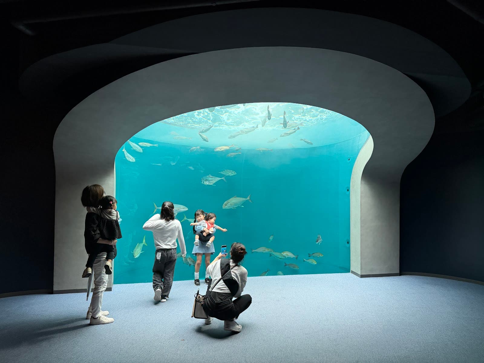 Shikoku Aquarium (Utazu) - Image 1