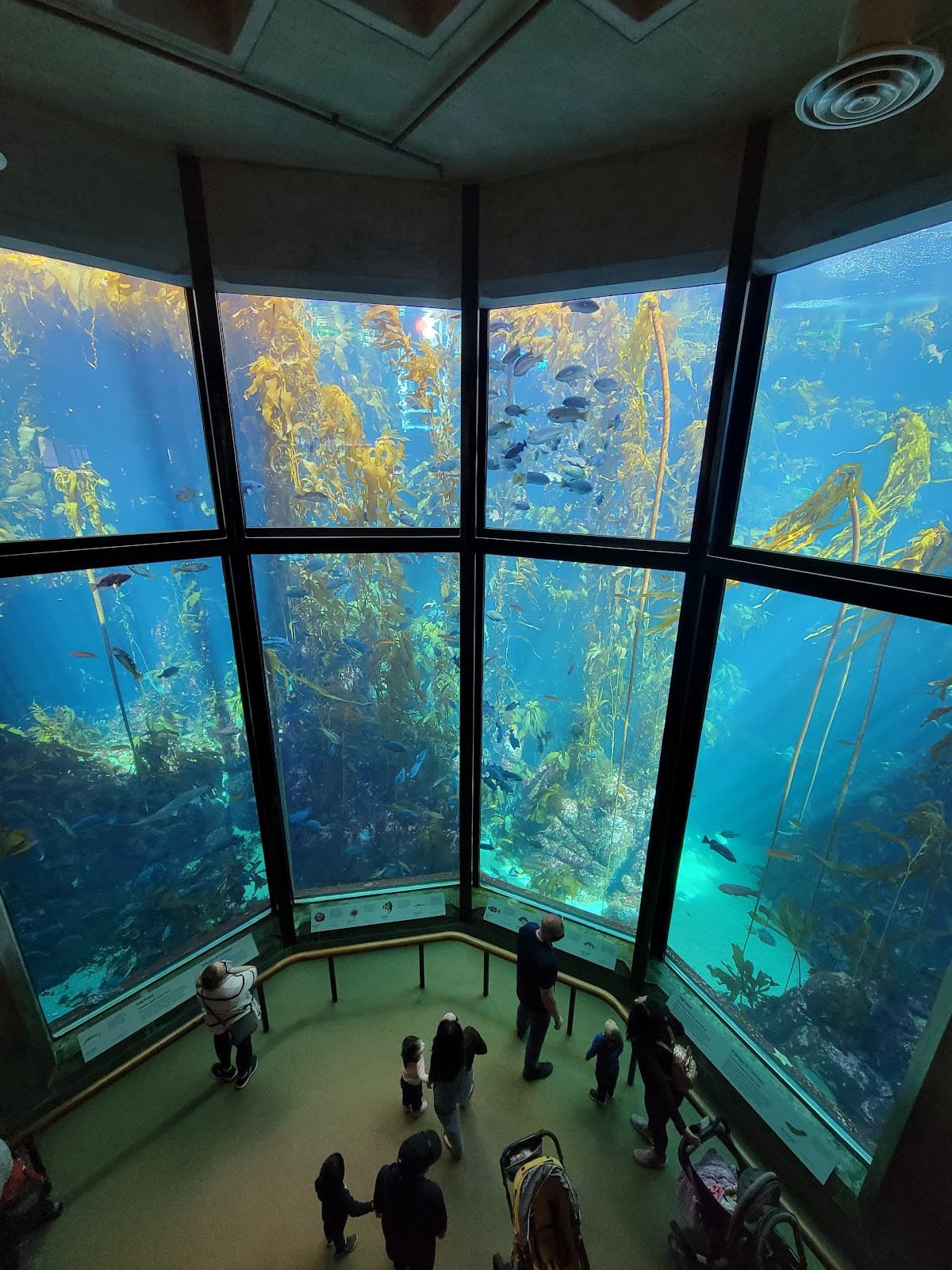 Monterey Bay Aquarium - Image 1