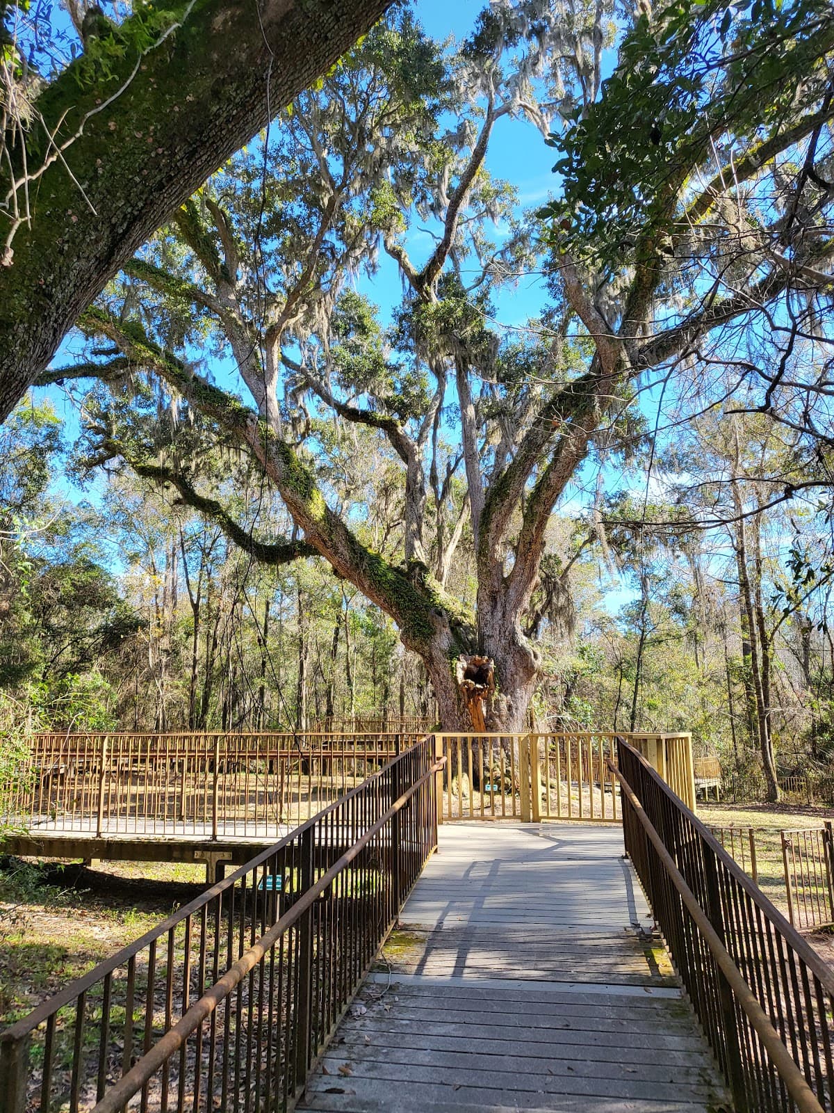 Village Point Park Preserve - Image 1
