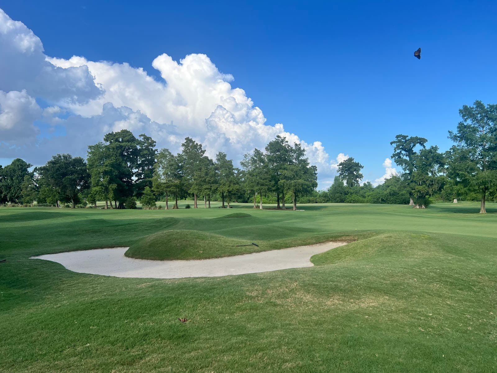 TPC Louisiana - Image 1