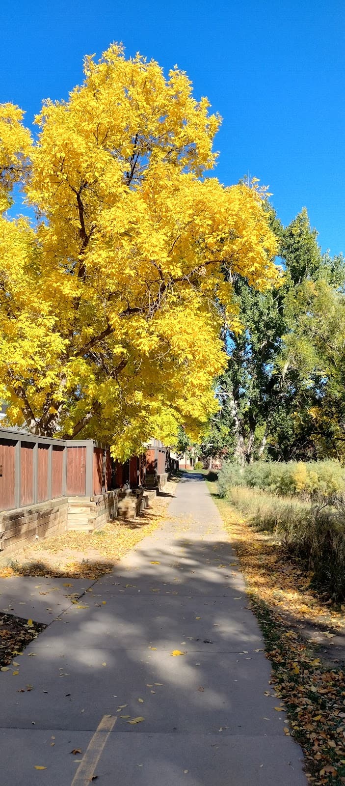 Spring Creek Trail - Image 1