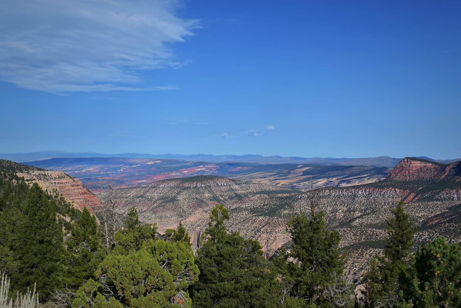 Echo Park Overlook & Confluence (DNM) - Image 1