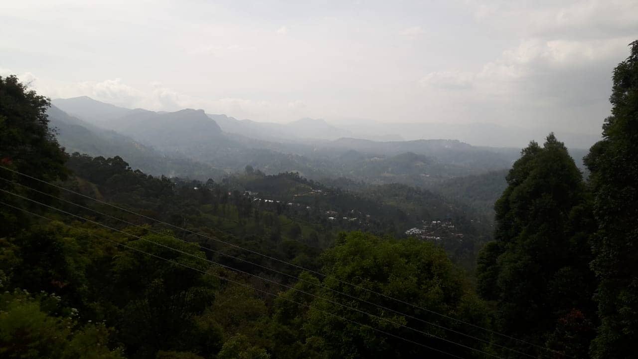 Camping Under the Stars