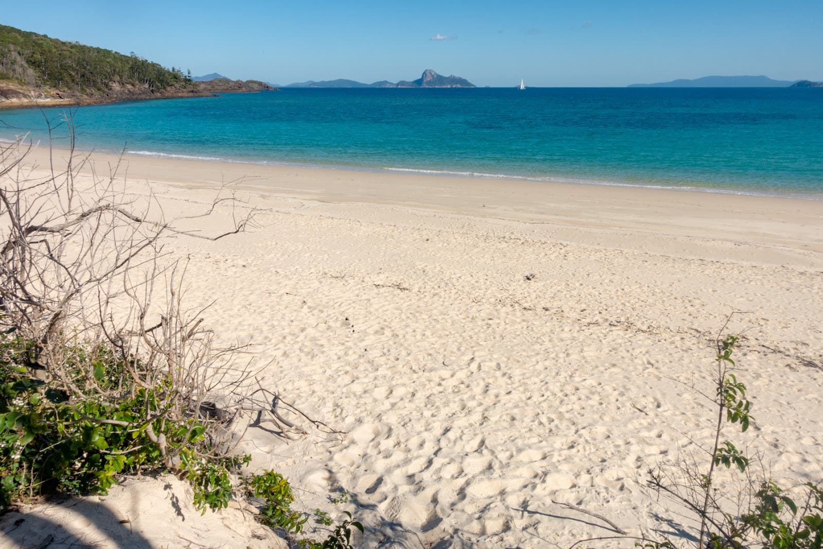 Chance Bay Whitsunday Island - Image 1