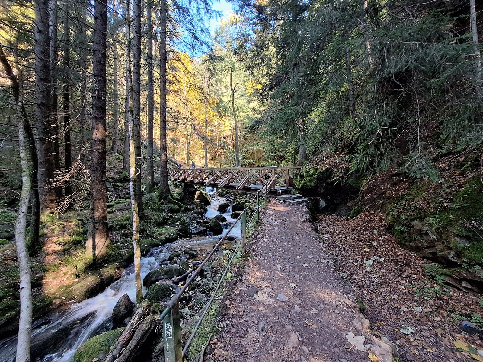 Ravennaschlucht - Image 1