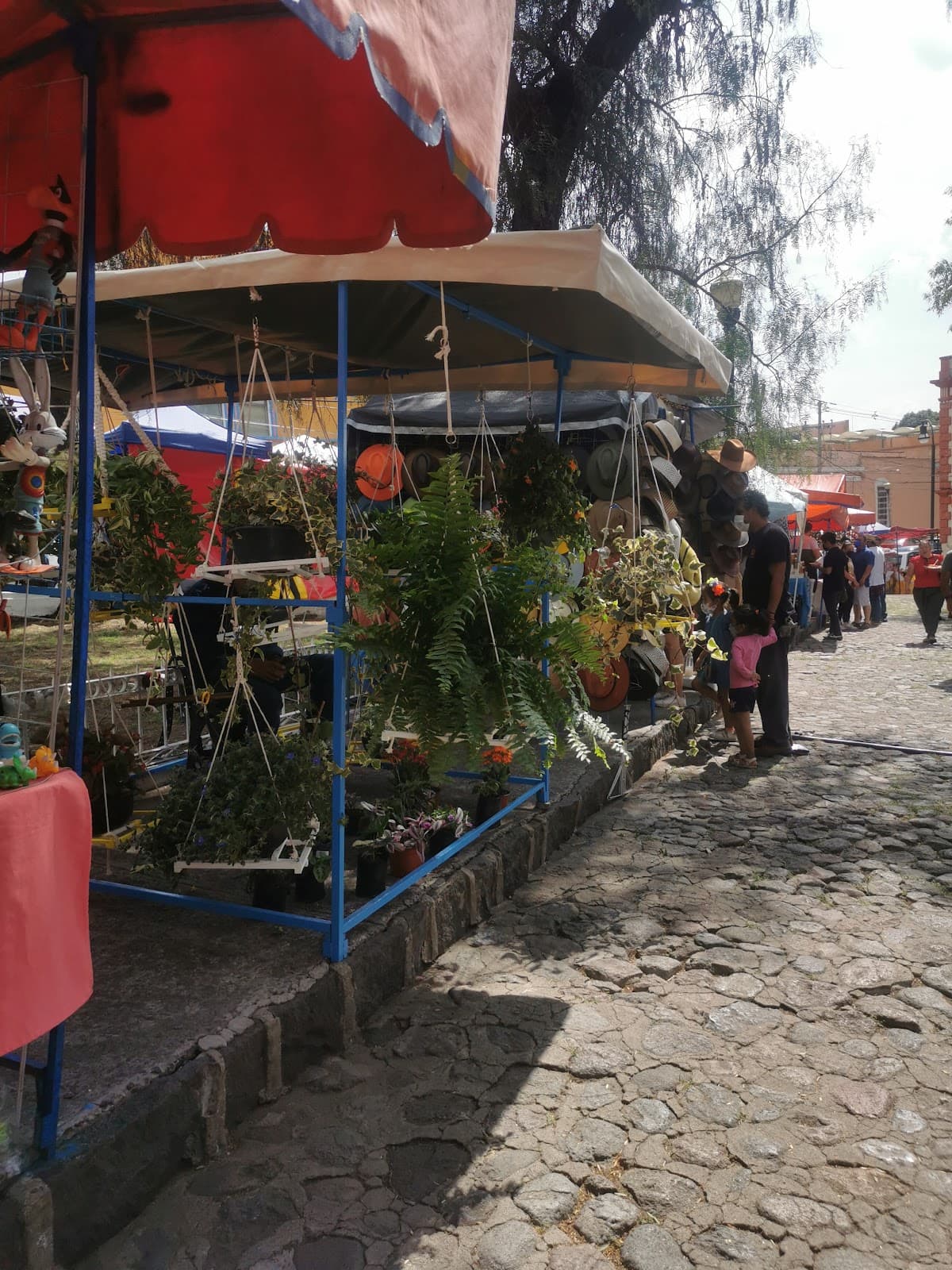 Barrio de Analco Market - Image 1